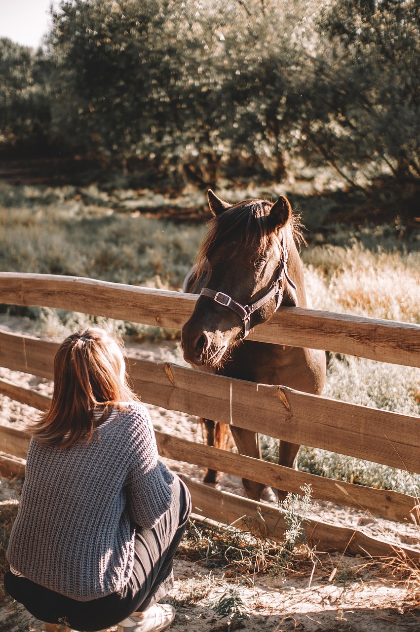 Farm Fence Installation Tips for Tampa Bay FL