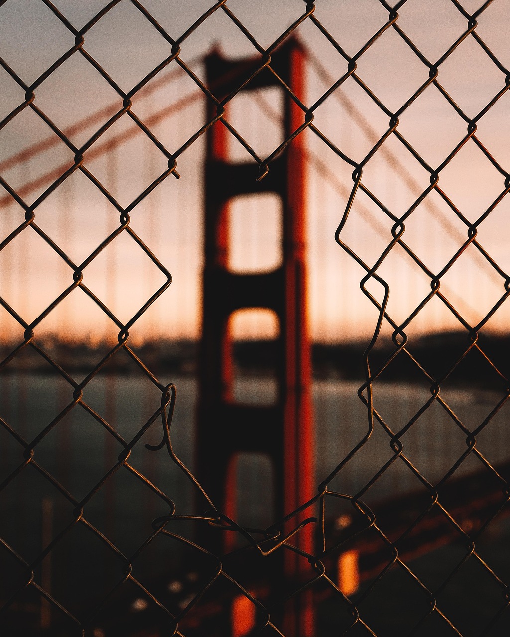 Industrial Perimeter Fence Installation: Tampa Bay Guide & Best Practices